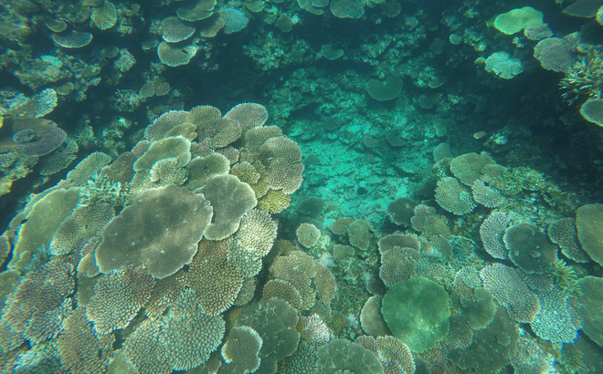 gopr1331.jpg